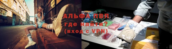 сатива Армянск