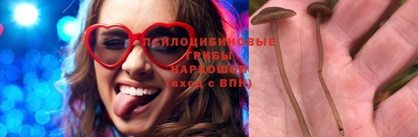 сатива Армянск
