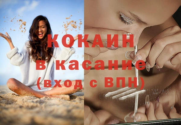 сатива Армянск