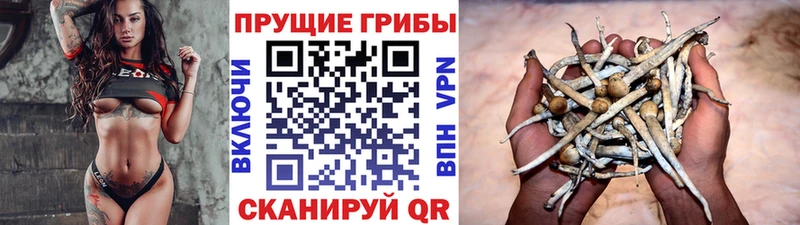Галлюциногенные грибы ЛСД  Купить  Асбест 